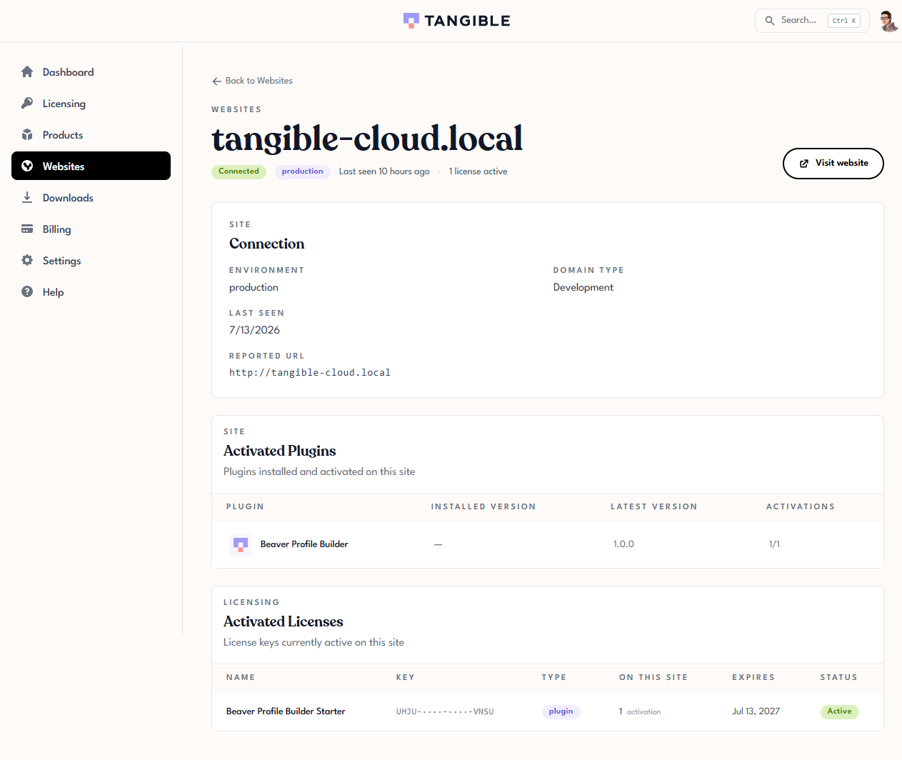 Tangible Cloud website detail page showing the Connection card, the Activated Plugins table, and the Activated Licenses table for a connected site
