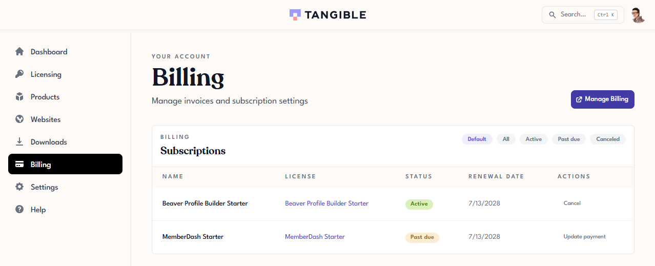 A past-due subscription row on the Billing page with a Past due status badge and an Update payment action